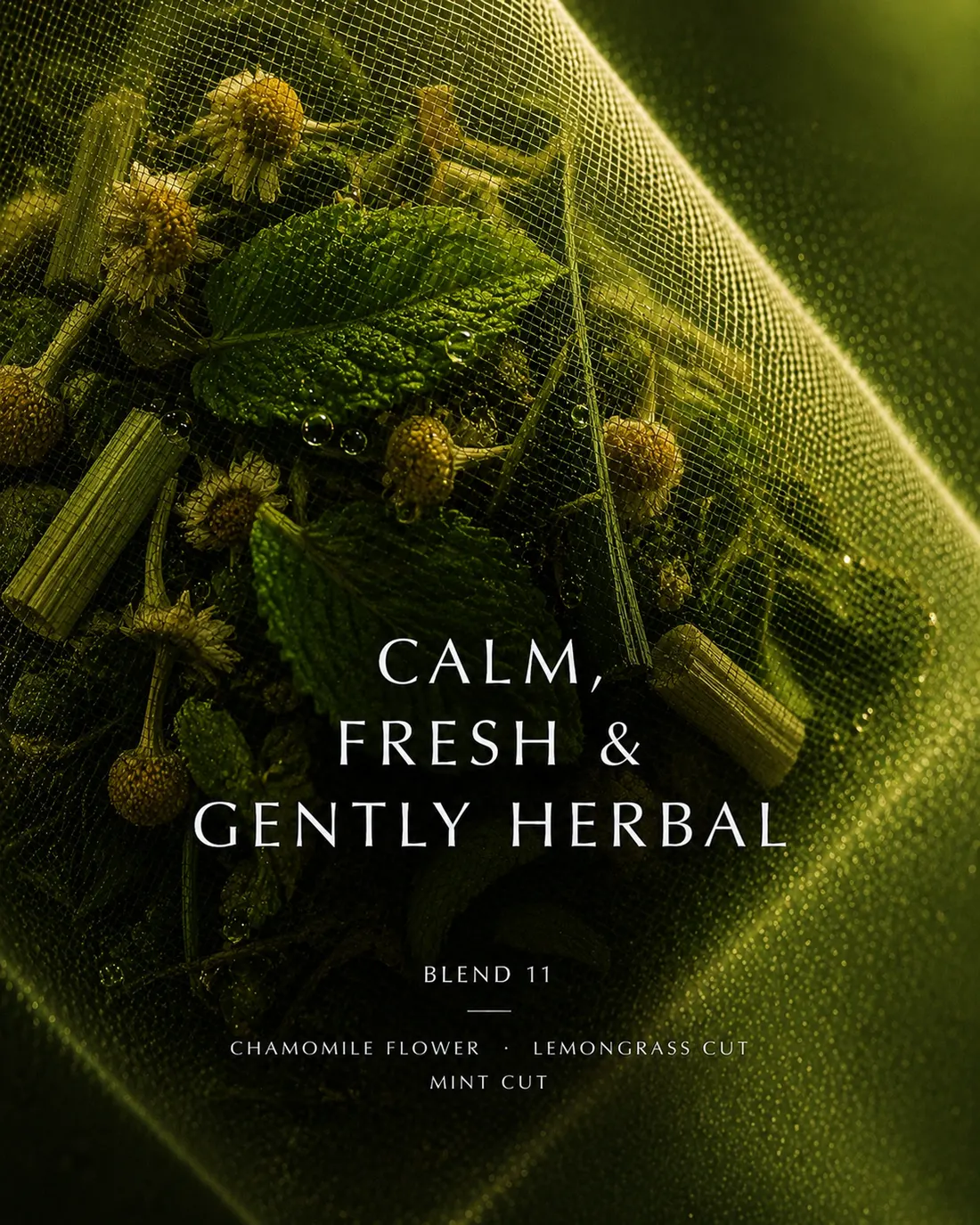 Blend 11 — Calm, fresh & gently herbal